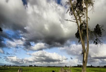 意媒：曼联表示对阿劳霍感兴趣，巴萨想签赫伊森替代他.