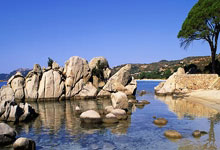 万博体育官网：阿玛德帽子戏法救主 曼联英超逆转南安普敦.